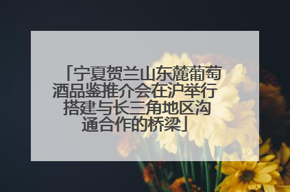 宁夏贺兰山东麓葡萄酒品鉴推介会在沪举行 搭建与长三角地区沟通合作的桥梁