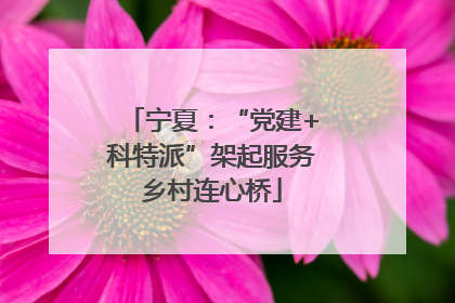 宁夏：“党建+科特派”架起服务乡村连心桥