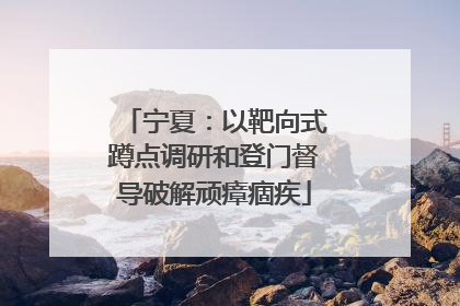 宁夏：以靶向式蹲点调研和登门督导破解顽瘴痼疾