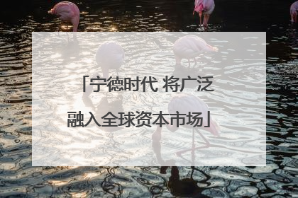 宁德时代 将广泛融入全球资本市场