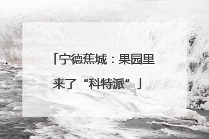 宁德蕉城：果园里来了“科特派”