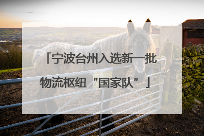 宁波台州入选新一批物流枢纽“国家队”