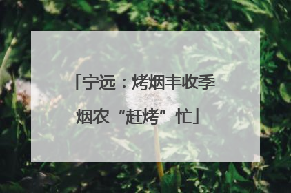 宁远：烤烟丰收季 烟农“赶烤”忙