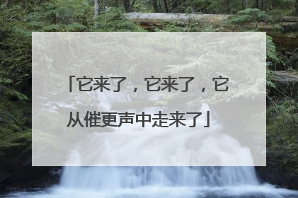 它来了，它来了，它从催更声中走来了