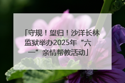 守规！望归！沙洋长林监狱举办2025年“六一”亲情帮教活动
