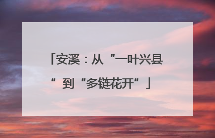 安溪：从“一叶兴县”到“多链花开”