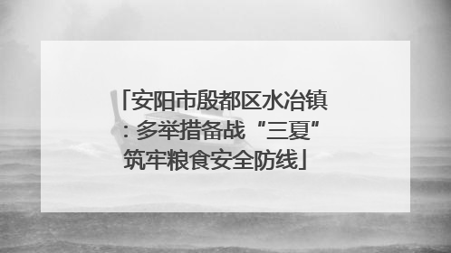 安阳市殷都区水冶镇：多举措备战“三夏” 筑牢粮食安全防线