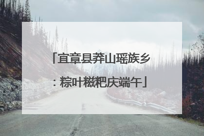 宜章县莽山瑶族乡：粽叶糍粑庆端午