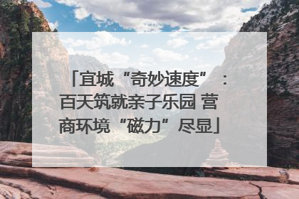 宜城“奇妙速度”：百天筑就亲子乐园 营商环境“磁力”尽显