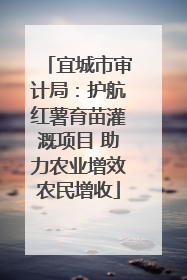 宜城市审计局：护航红薯育苗灌溉项目 助力农业增效农民增收
