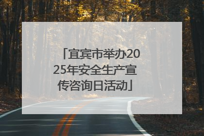 宜宾市举办2025年安全生产宣传咨询日活动