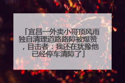 宜昌一外卖小哥顶风雨独自清理道路路障被爆赞，目击者：我还在犹豫他已经停车清障了