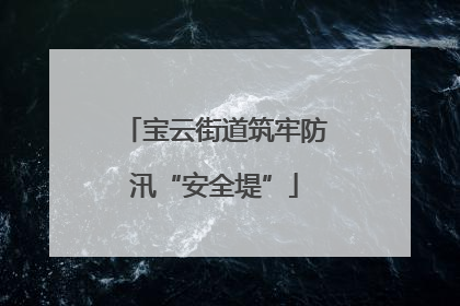 宝云街道筑牢防汛“安全堤”