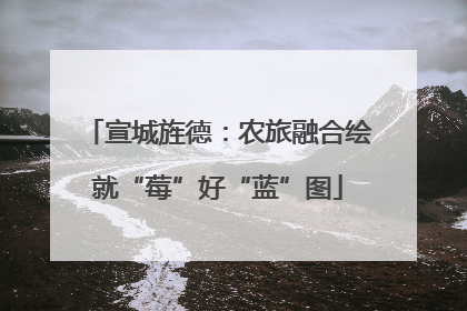 宣城旌德：农旅融合绘就“莓”好“蓝”图