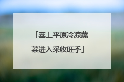 塞上平原冷凉蔬菜进入采收旺季