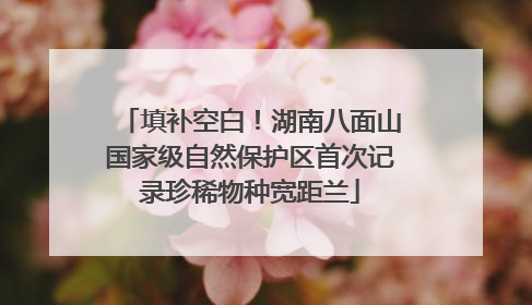 填补空白！湖南八面山国家级自然保护区首次记录珍稀物种宽距兰