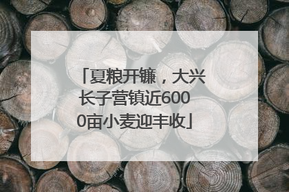 夏粮开镰，大兴长子营镇近6000亩小麦迎丰收
