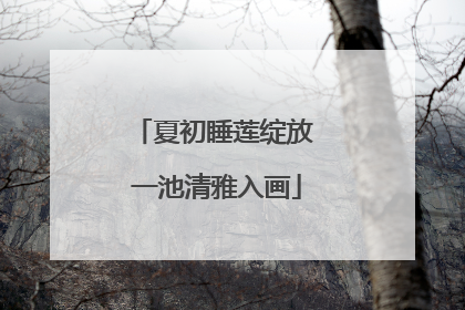 夏初睡莲绽放 一池清雅入画