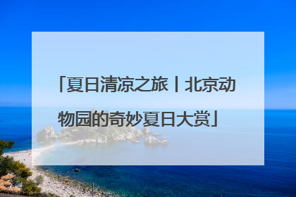 夏日清凉之旅丨北京动物园的奇妙夏日大赏