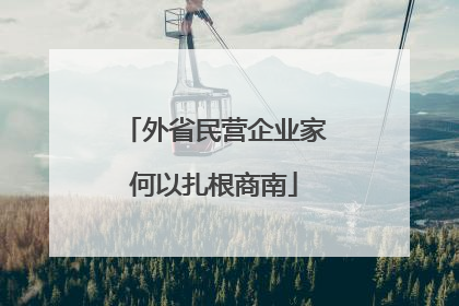 外省民营企业家何以扎根商南