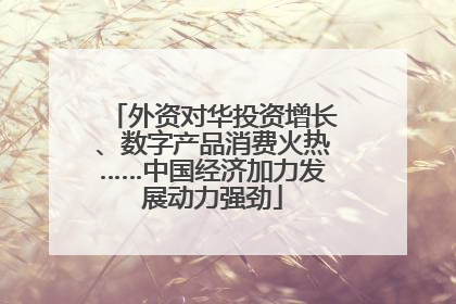 外资对华投资增长、数字产品消费火热……中国经济加力发展动力强劲