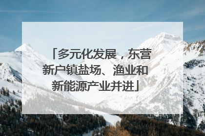多元化发展，东营新户镇盐场、渔业和新能源产业并进