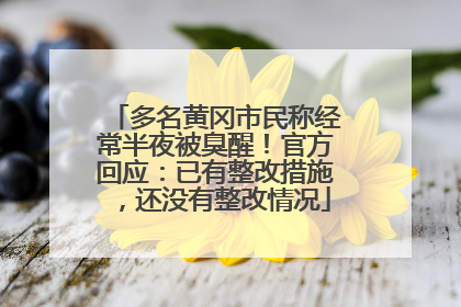 多名黄冈市民称经常半夜被臭醒！官方回应：已有整改措施，还没有整改情况
