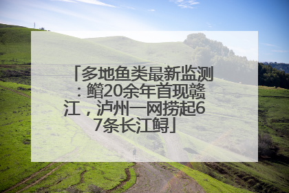 多地鱼类最新监测：鳤20余年首现赣江，泸州一网捞起67条长江鲟