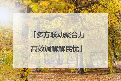 多方联动聚合力 高效调解解民忧