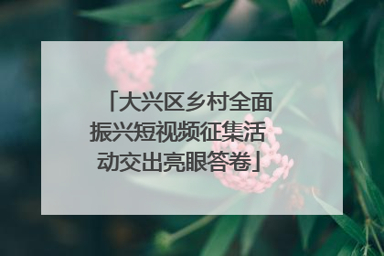 大兴区乡村全面振兴短视频征集活动交出亮眼答卷