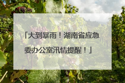 大到暴雨！湖南省应急委办公室汛情提醒！
