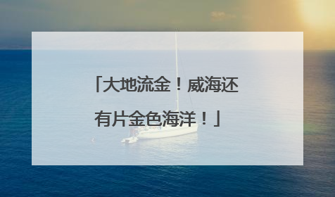 大地流金！威海还有片金色海洋！