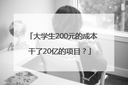 大学生200元的成本干了20亿的项目？