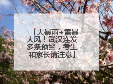大暴雨+雷暴大风！武汉连发多条预警，考生和家长请注意