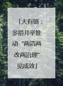 大有镇：多措并举推动“两清两改两治理”见成效