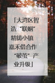 大湾区智造“联姻”精铸小镇 嘉禾借合作“破茧”产业升级