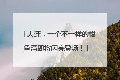 大连：一个不一样的梭鱼湾即将闪亮登场！