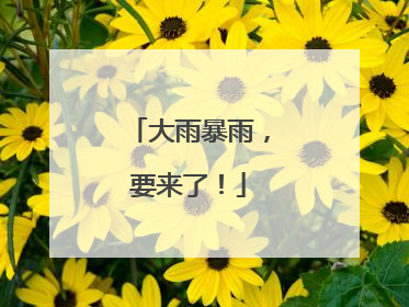 大雨暴雨，要来了！