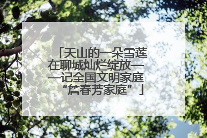 天山的一朵雪莲在聊城灿烂绽放——记全国文明家庭“詹春芳家庭”