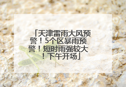 天津雷雨大风预警！5个区暴雨预警！短时雨强较大！下午开场