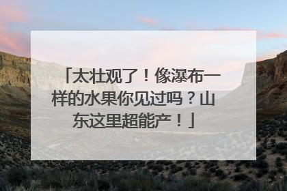 太壮观了！像瀑布一样的水果你见过吗？山东这里超能产！