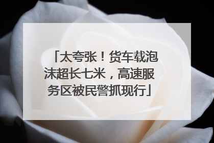 太夸张！货车载泡沫超长七米，高速服务区被民警抓现行