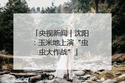 央视新闻｜沈阳：玉米地上演“虫虫大作战”