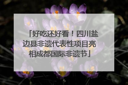 好吃还好看！四川盐边县非遗代表性项目亮相成都国际非遗节