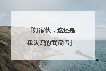 好家伙，这还是我认识的武汉吗