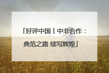 好评中国丨中非合作：典范之路 续写辉煌