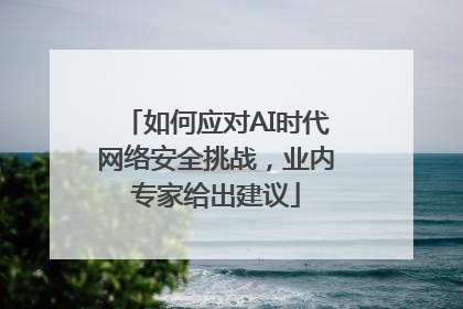如何应对AI时代网络安全挑战，业内专家给出建议
