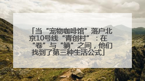 当“宠物咖啡馆”落户北京10号线“青创村”：在“卷”与“躺”之间，他们找到了第三种生活公式
