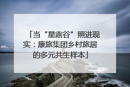 当“星露谷”照进现实：康旅集团乡村旅居的多元共生样本