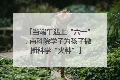 当端午遇上“六一”，南科院学子为孩子撒播科学“火种”
